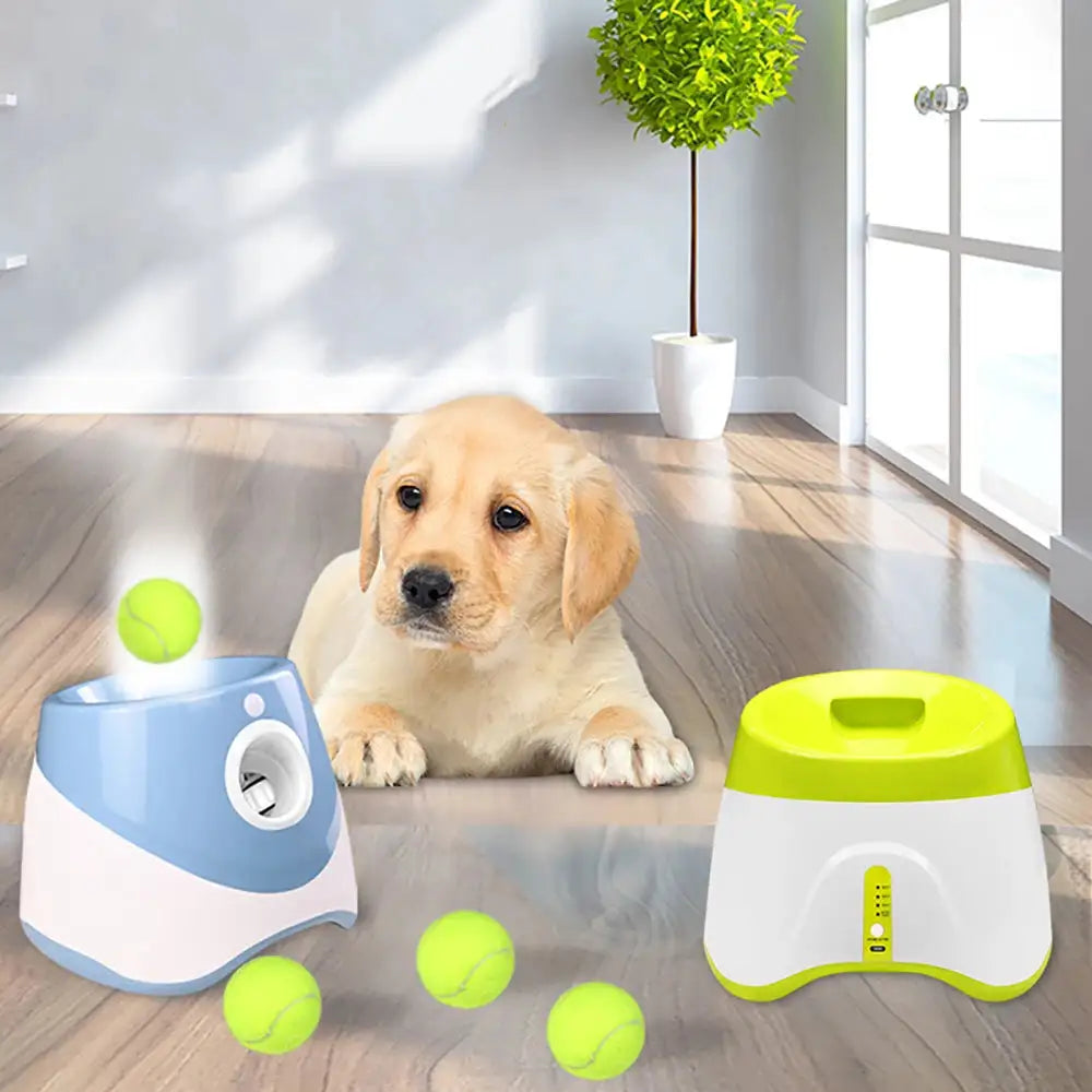 DOG TOYS & TREATS