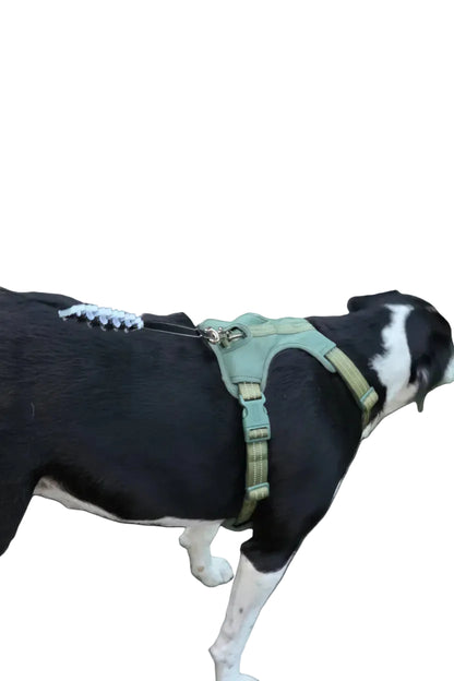 Dog Leash Decelerator