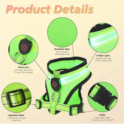 BrightTrail LED Dog Harness