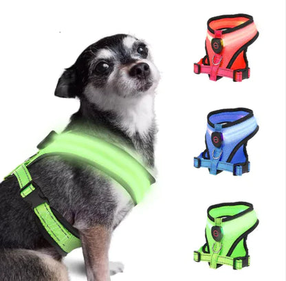 BrightTrail LED Dog Harness