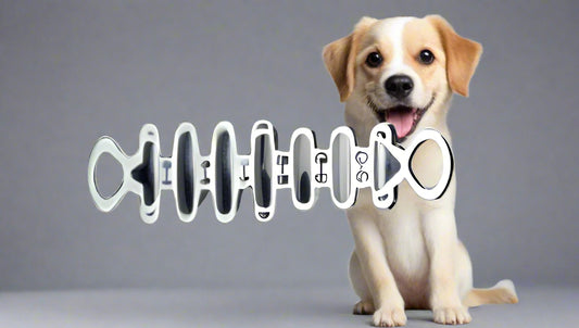SHOCK ABSORBER Attachment for Dog Leash