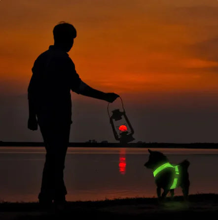 BrightTrail LED Dog Harness
