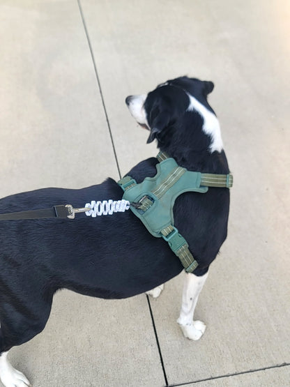 SOFTSHOCK ABSORBER Attachment for Dog Leash      **FREE SHIPPING in U.S.**